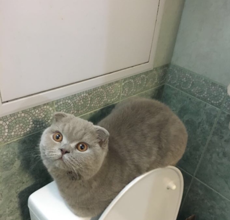 Фото не найдено
