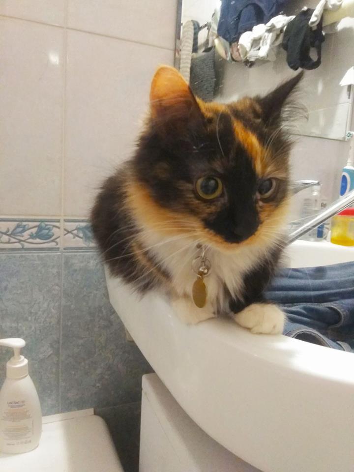 Фото не найдено