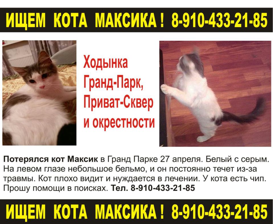 Фото не найдено
