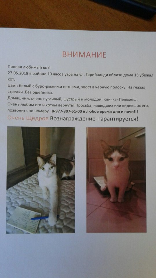 Фото не найдено