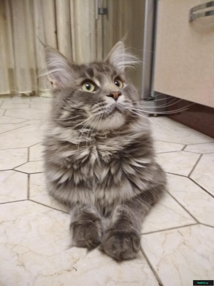 Фото не найдено