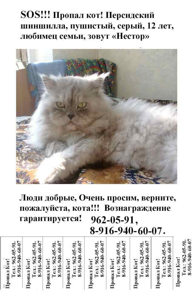 Фото не найдено