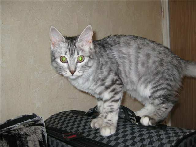 Фото не найдено