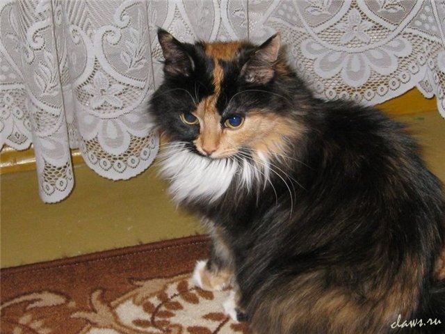 Фото не найдено