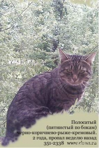 Фото не найдено