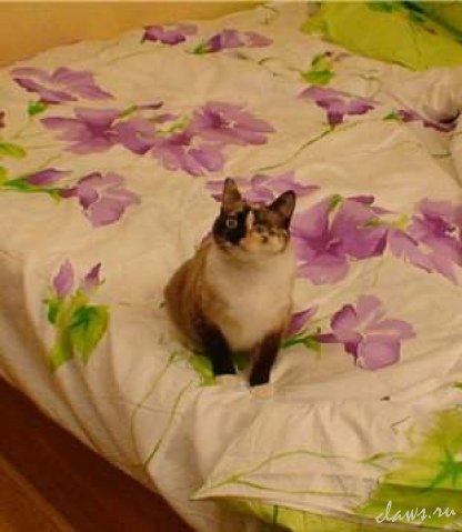 Фото не найдено