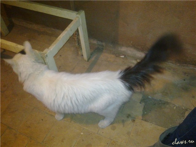 Фото не найдено