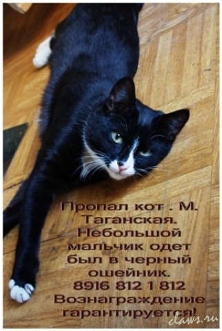 Фото не найдено