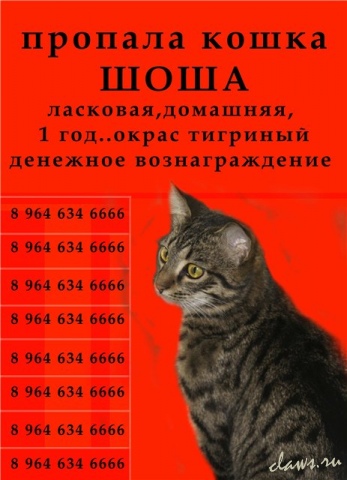 Фото не найдено