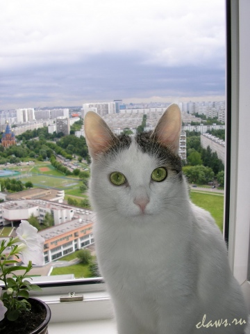 Фото не найдено