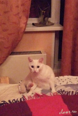 Фото не найдено