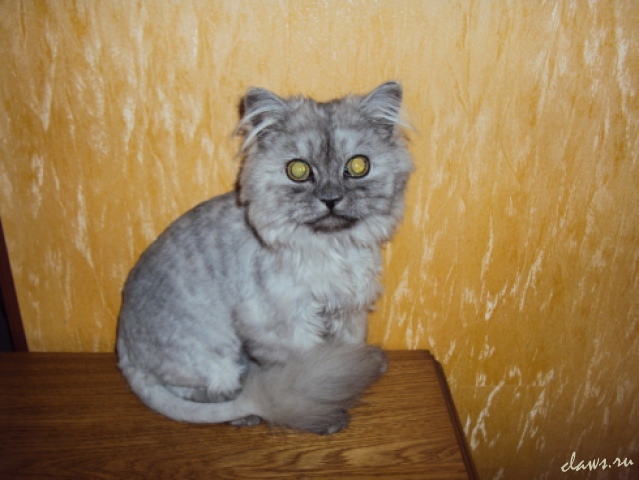 Фото не найдено