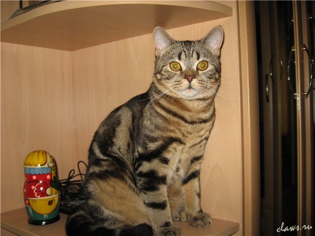 Фото не найдено