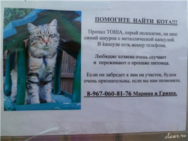 Фото не найдено