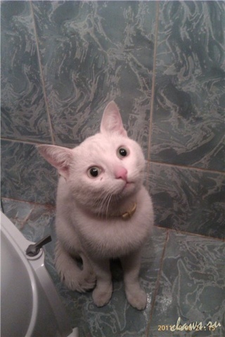 Фото не найдено