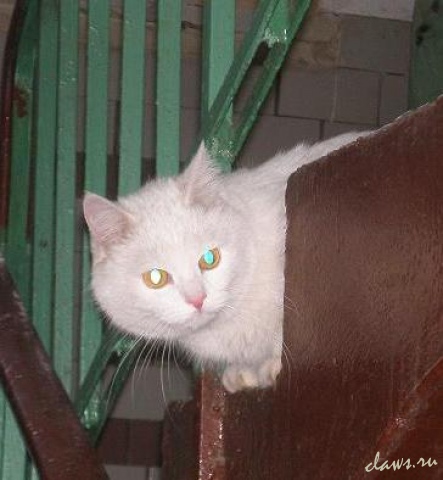 Фото не найдено