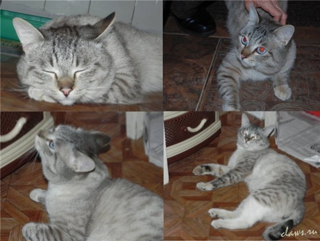 Фото не найдено