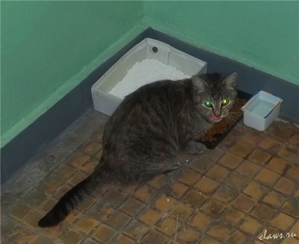 Фото не найдено