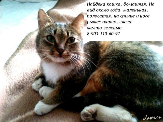 Фото не найдено