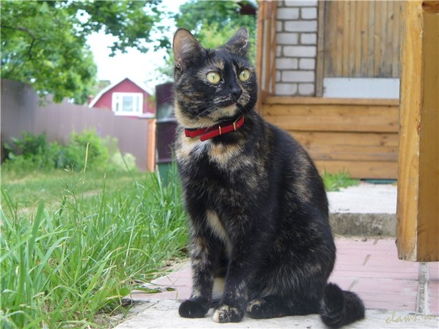 Фото не найдено