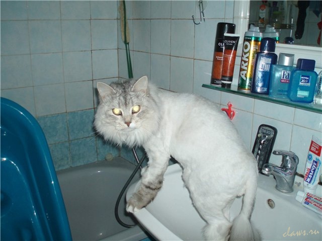 Фото не найдено