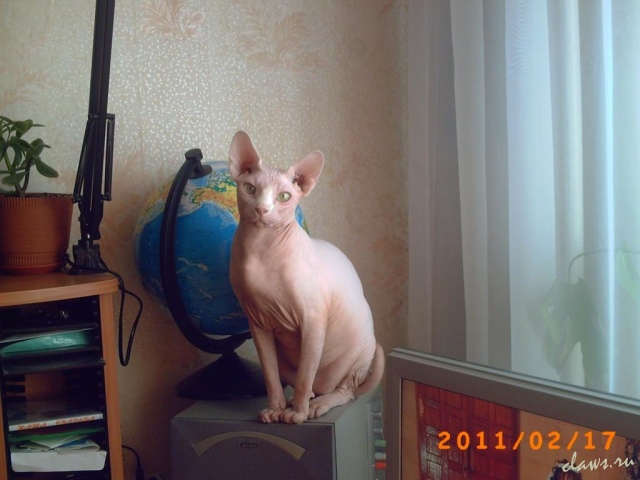 Фото не найдено