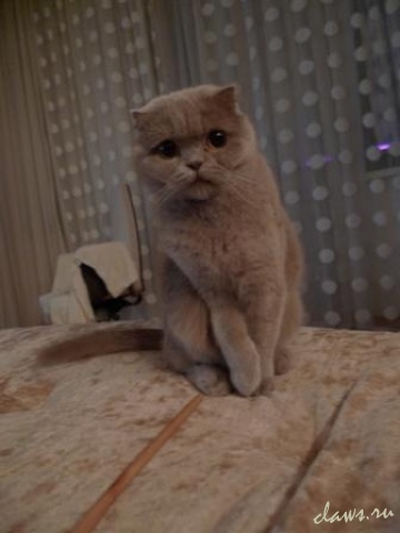 Фото не найдено