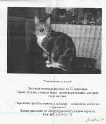 Фото не найдено
