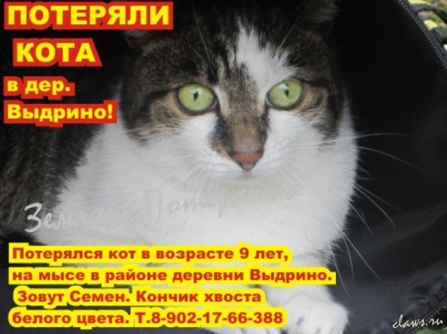 Фото не найдено