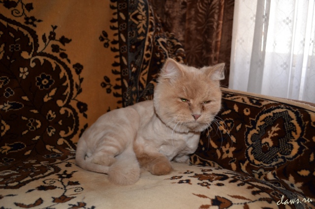 Фото не найдено