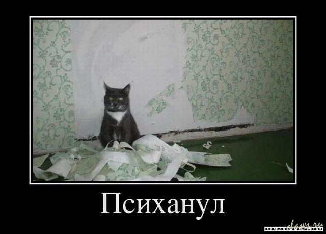 Фото не найдено
