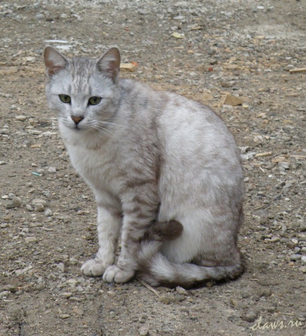 Фото не найдено