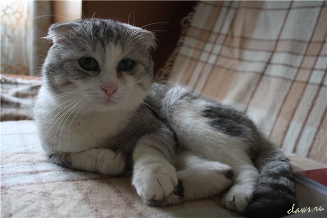 Фото не найдено