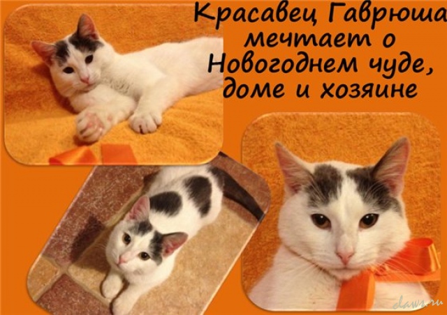 Фото не найдено