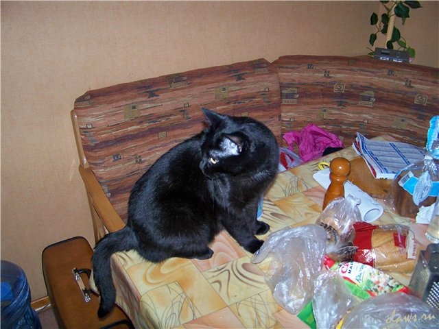 Фото не найдено