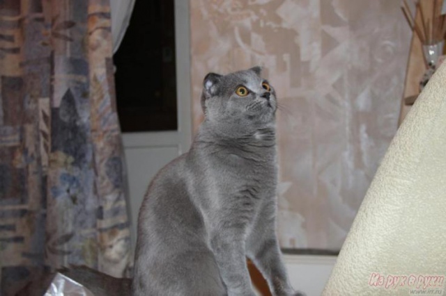 Фото не найдено