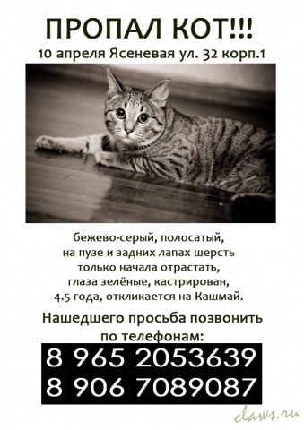 Фото не найдено