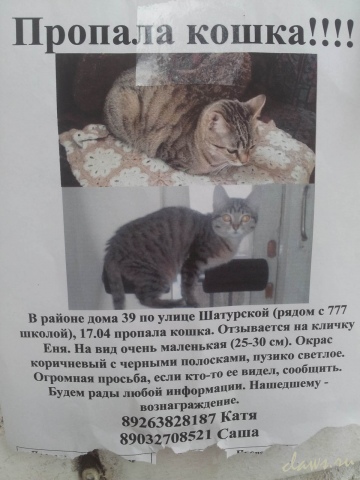 Фото не найдено