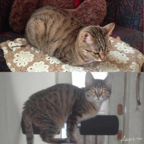 Фото не найдено