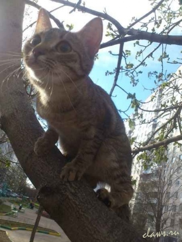 Фото не найдено