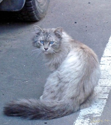 Фото не найдено