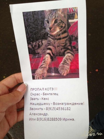 Фото не найдено