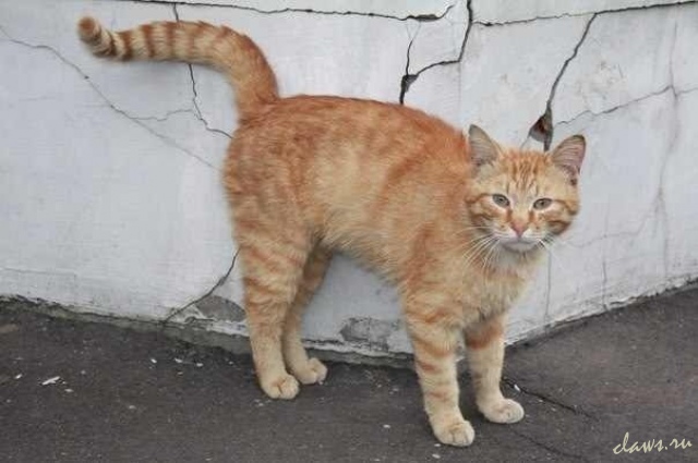 Фото не найдено