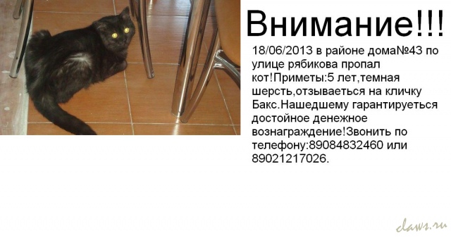 Фото не найдено