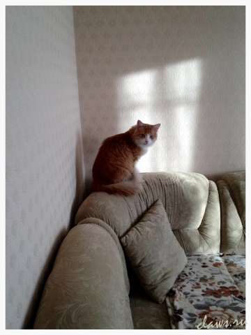 Фото не найдено