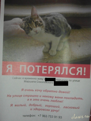 Фото не найдено