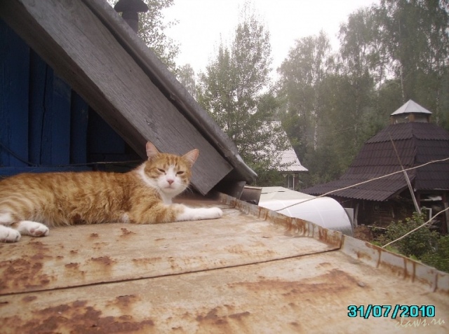 Фото не найдено