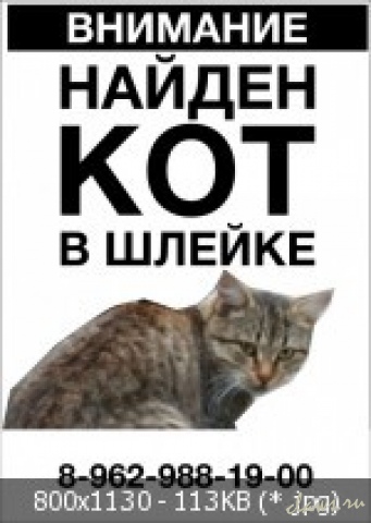 Фото не найдено