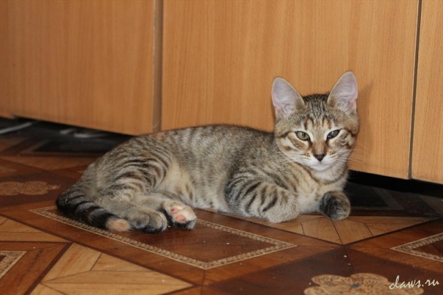 Фото не найдено