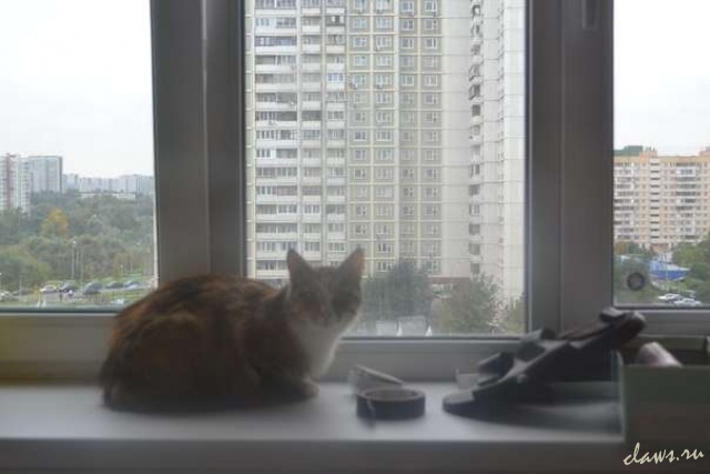Фото не найдено